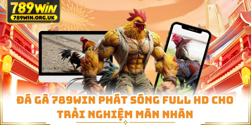 Đá gà 789WIN phát sóng full HD cho trải nghiệm mãn nhãn